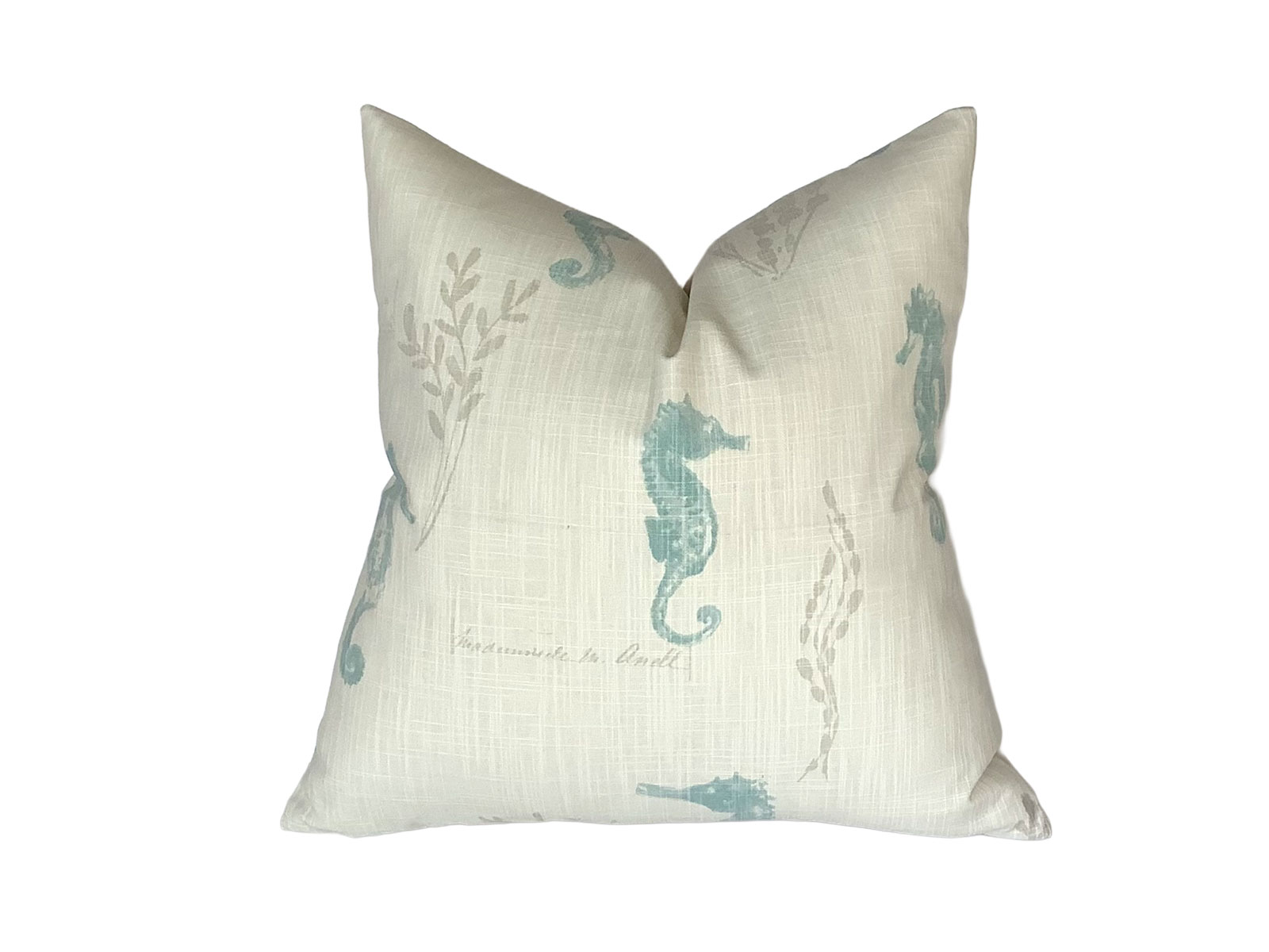 Cojín Galapagos Cielo (PL)